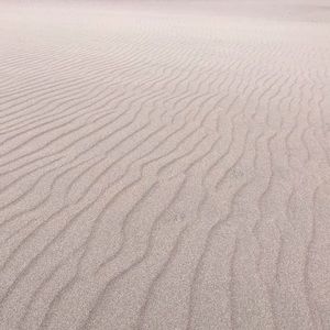 Meet your Posher, Teri